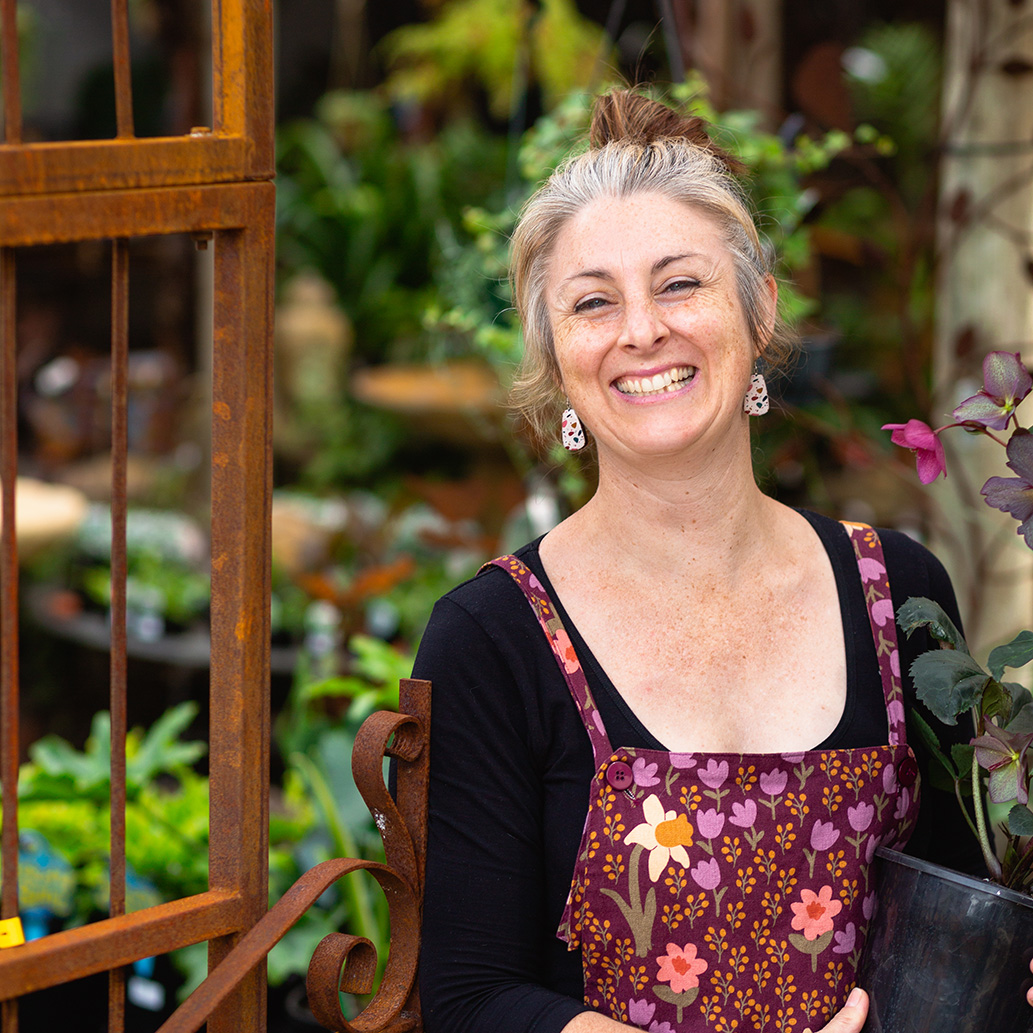 McLaren Vale Garden Centre Your Home For Peace & Serenity