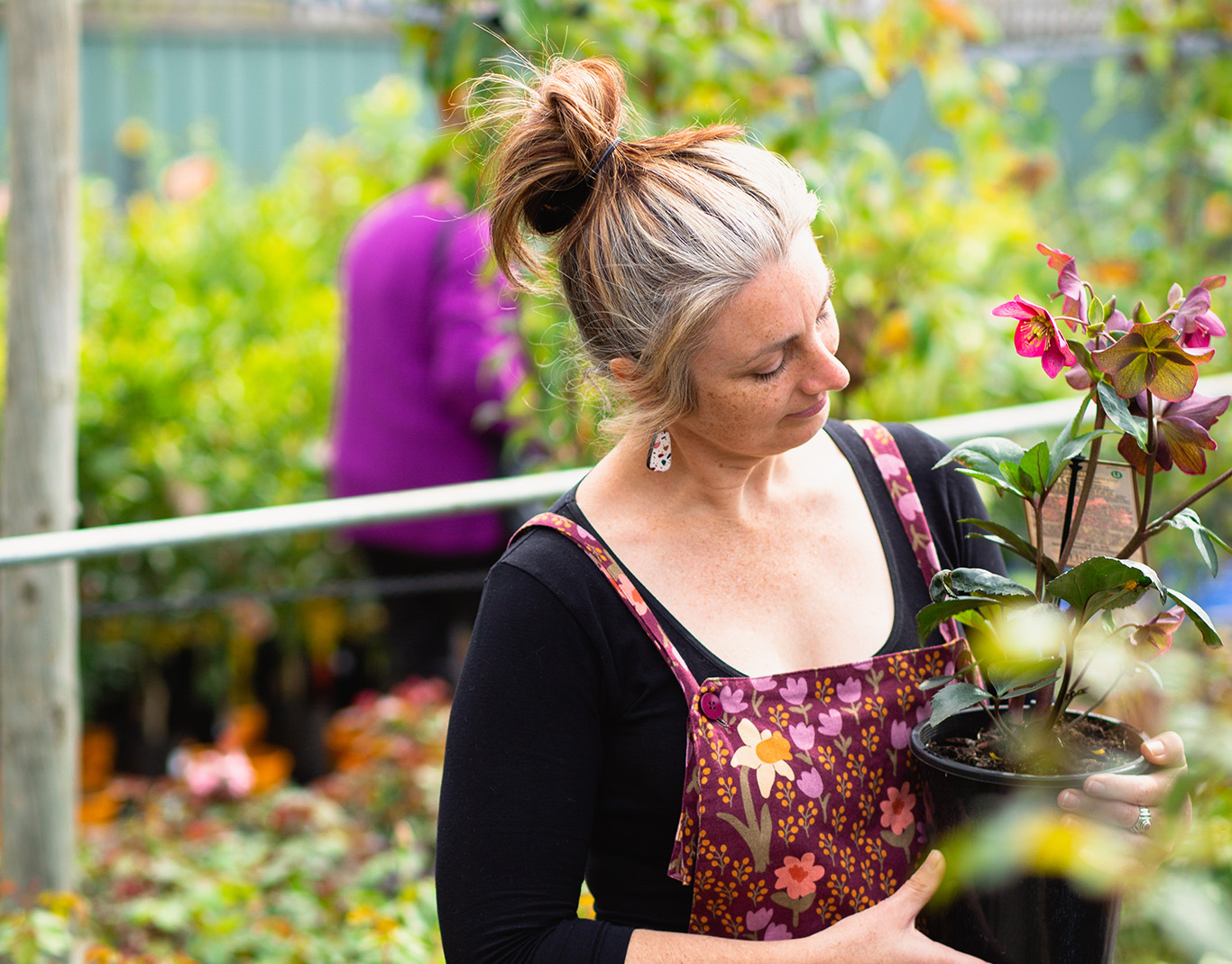 McLaren Vale Garden Centre Your Home For Peace & Serenity